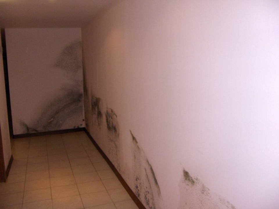 Flur des Hotels Hotel Tiva del Mar Beach