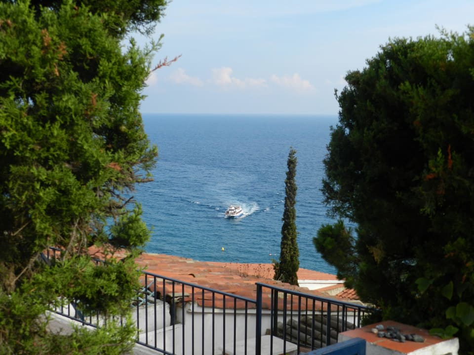 Ausblick beim Frühstück Hotel Playa Arena