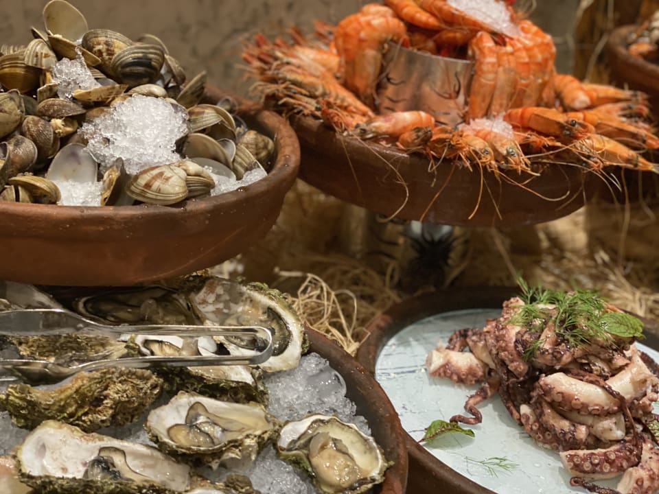 Gastro Acanthus Cennet Barut Collection