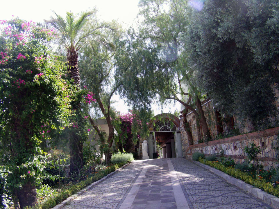 Eingang zum Hotel Blue Dreams Resort & Spa