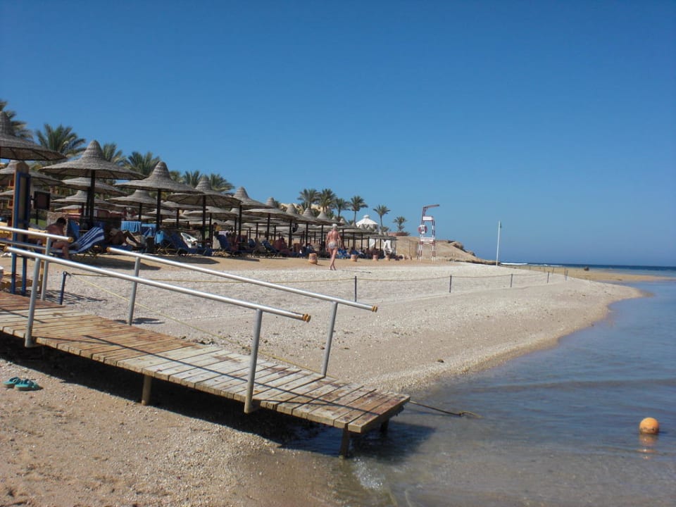 Strand bei Ebbe Steigenberger Coraya Beach - Adults only