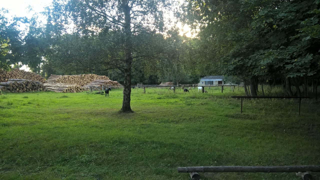 Tiere im Areal Hotel Hufhaus