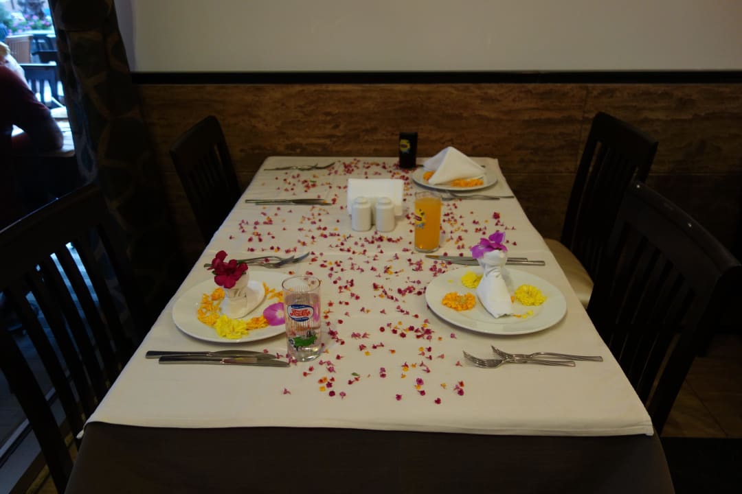 Dankeschön an Ertan S. Dizalya Palm Garden