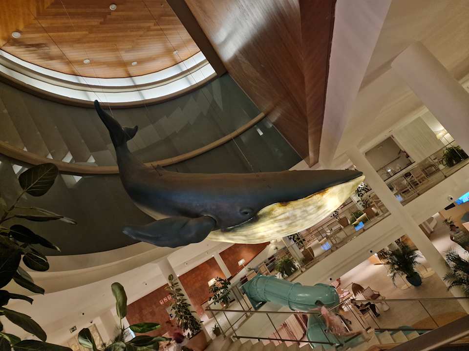 Lobby Iberostar Waves Gaviotas Park