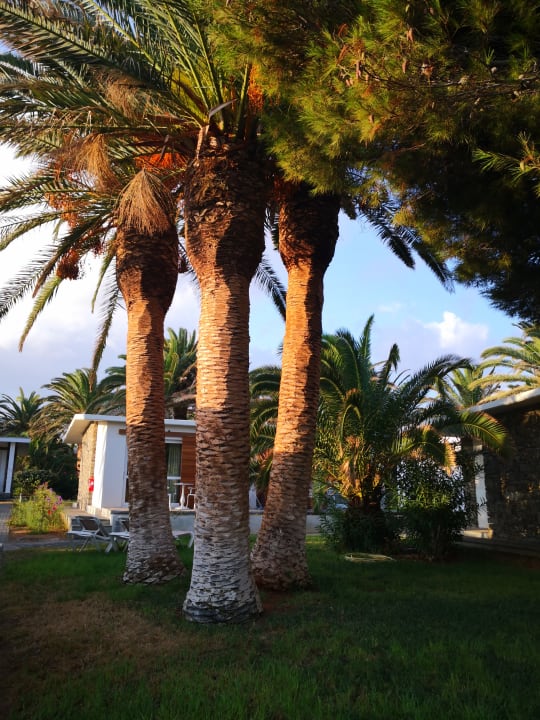 Gartenanlage Civitel Creta Beach