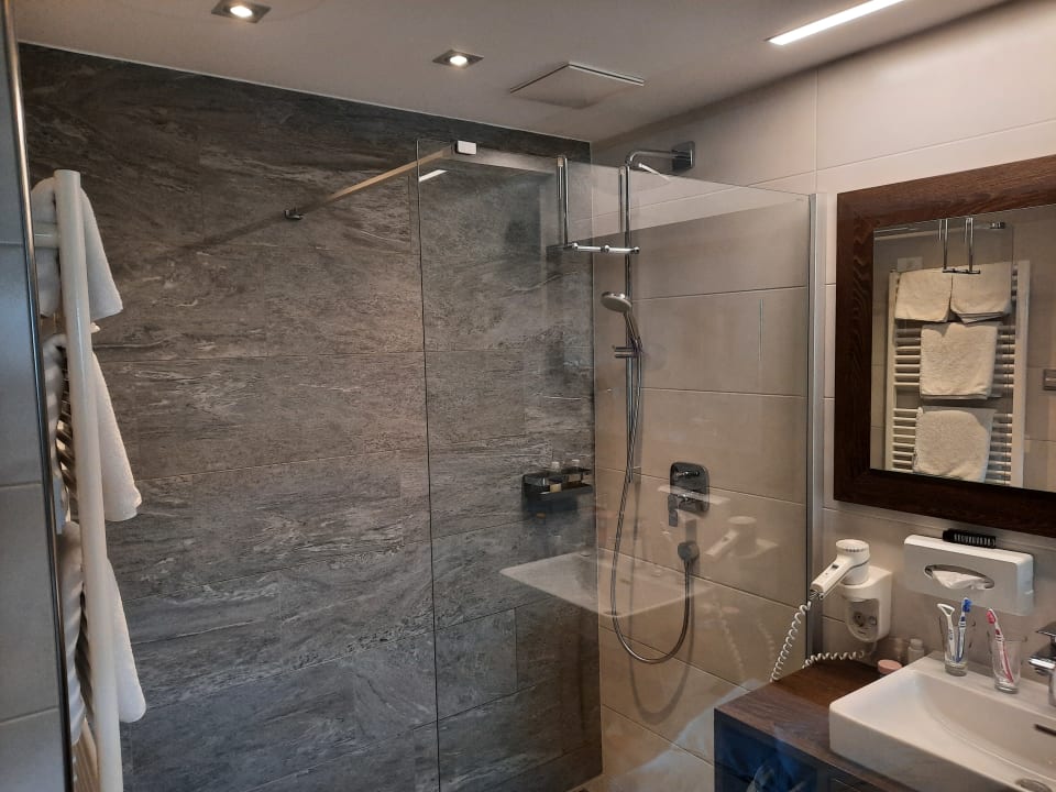 Zimmer Hotel Alpina