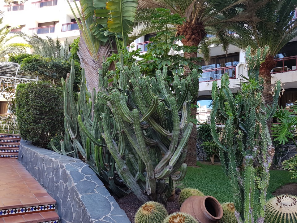 Gartenanlage Seaside Hotel Sandy Beach