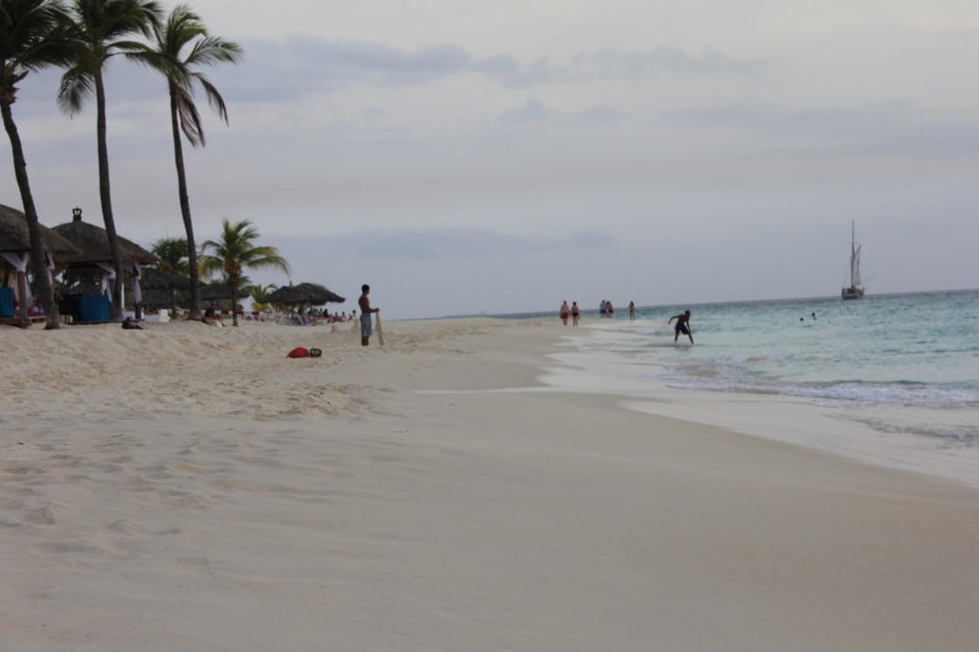 Strand Bucuti & Tara Beach Resort - Adults only