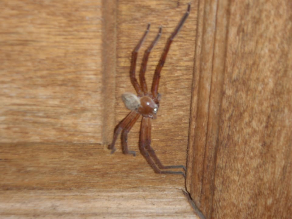 Gast am Eingangstor  Kuredu Island Resort & Spa