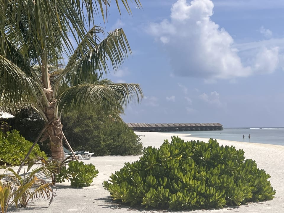 Strand Meeru Maldives Resort Island