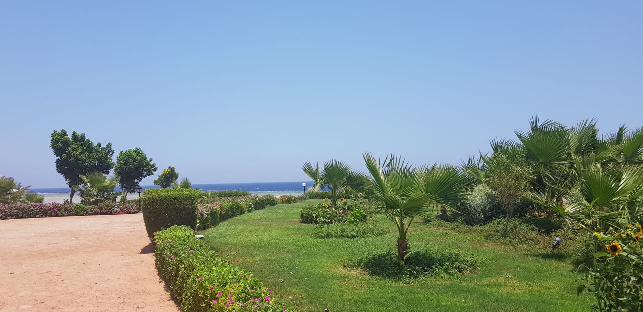 Gartenanlage Three Corners Equinox Beach Resort