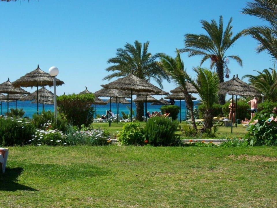 Liegewiese und Meer TUI BLUE Palm Beach Hammamet
