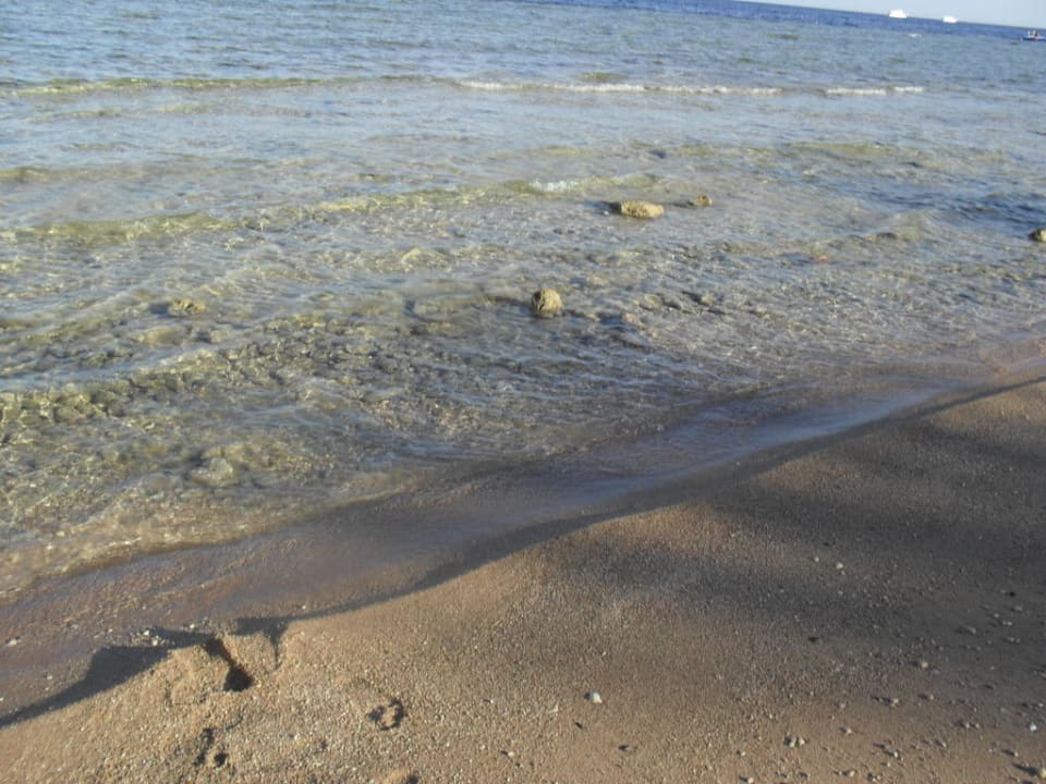 Plaża Pickalbatros Royal Grand Resort - Sharm El Sheikh