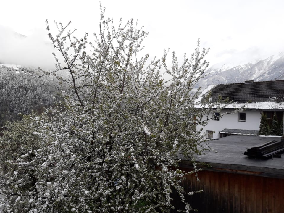 Ausblick Alpina Resort Nature & Wellness