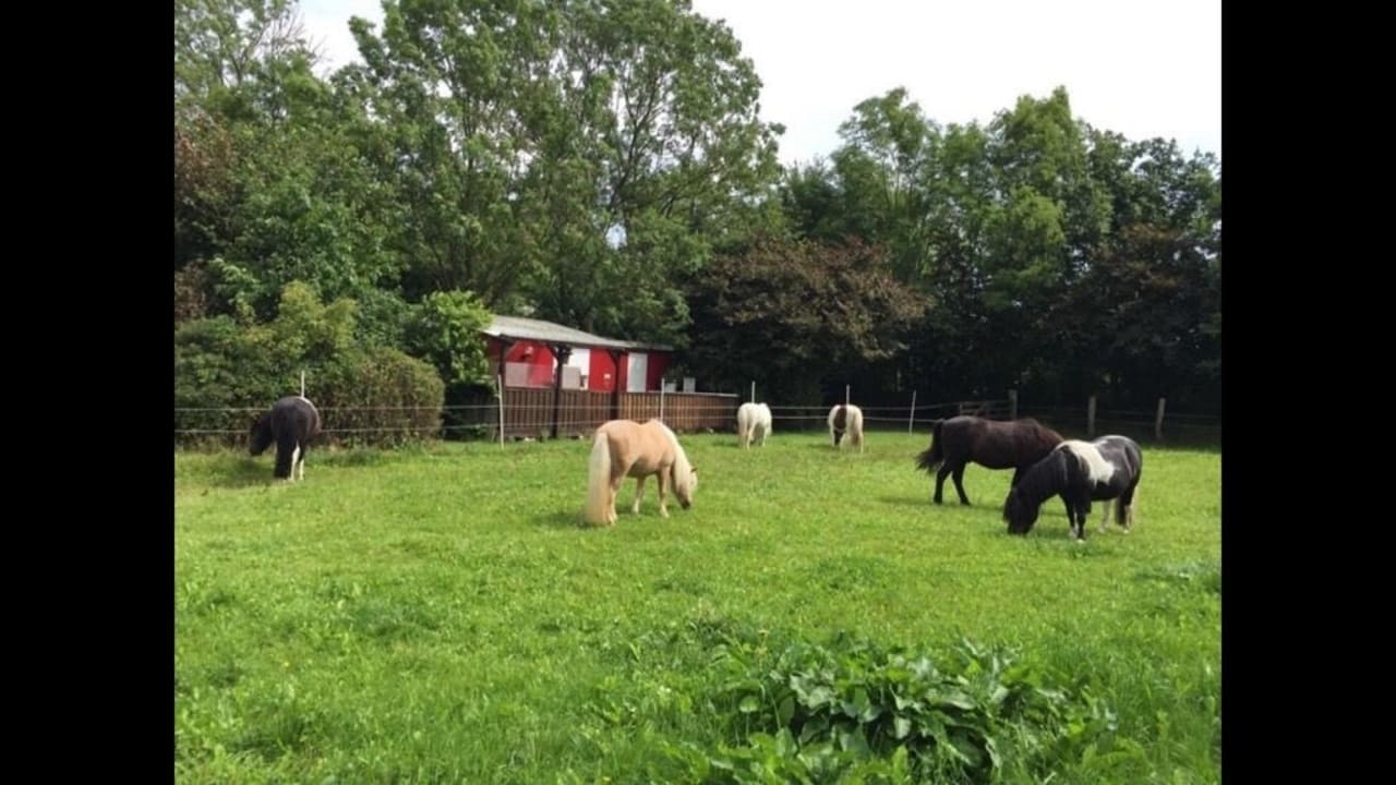 Außenansicht Wintershof Kellenhusen