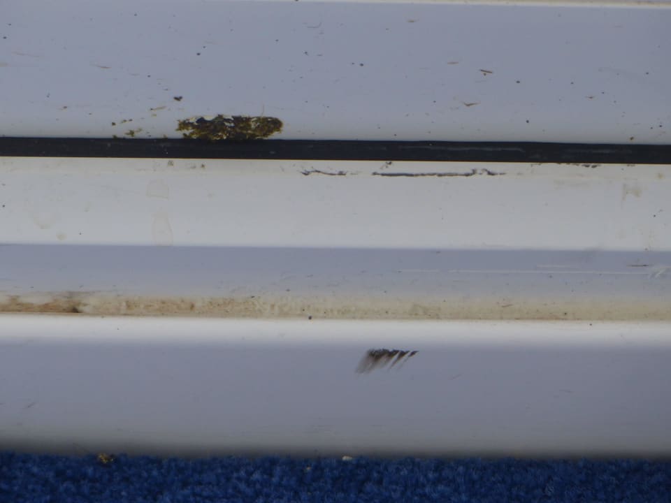 Vogelkot an Balkontür Hotel Atlantic Newquay