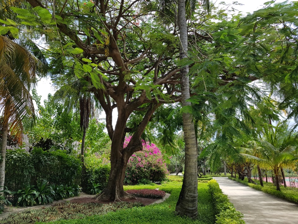 Die Gartenanlage in der Mitte der Insel ist stets gut gepfle Adaaran Select Hudhuran Fushi - Premium All Inclusive