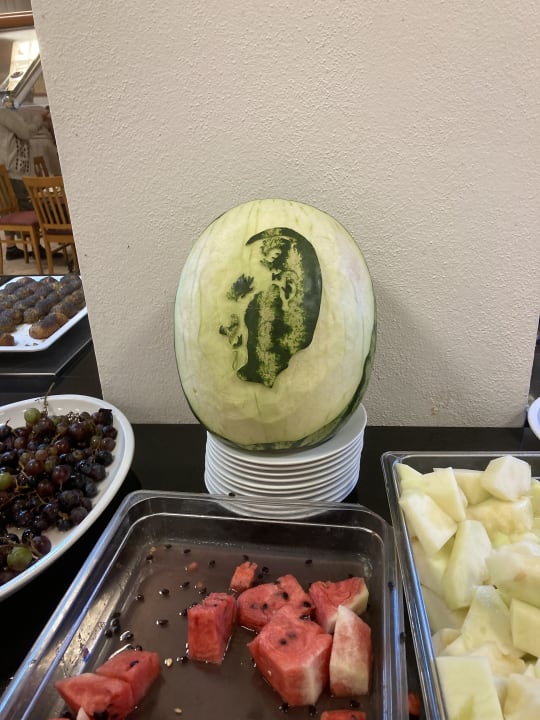 Gastro Hotel Grand Efe