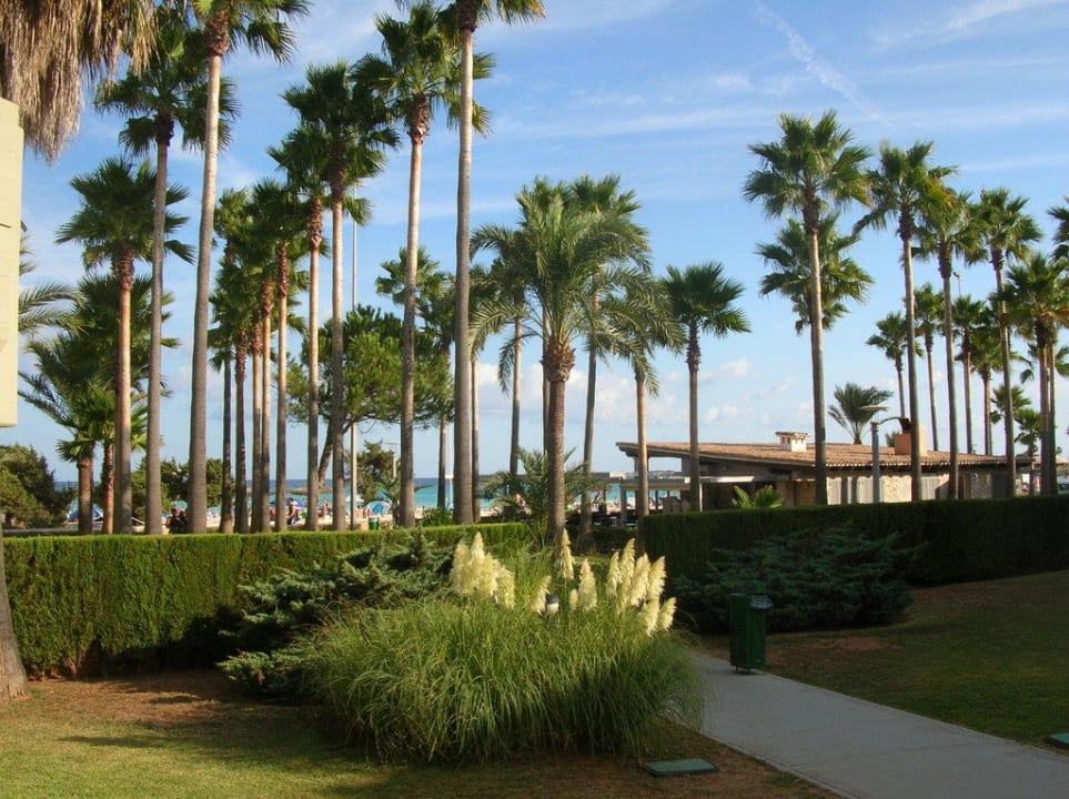 Blick von unserer Terrasse auf das Meer Hipotels Mediterraneo Club