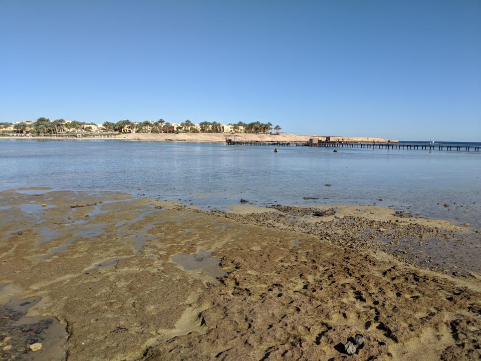 Strand Jaz Solaya