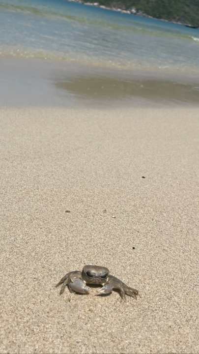 Strand Panviman Resort Koh Phangan