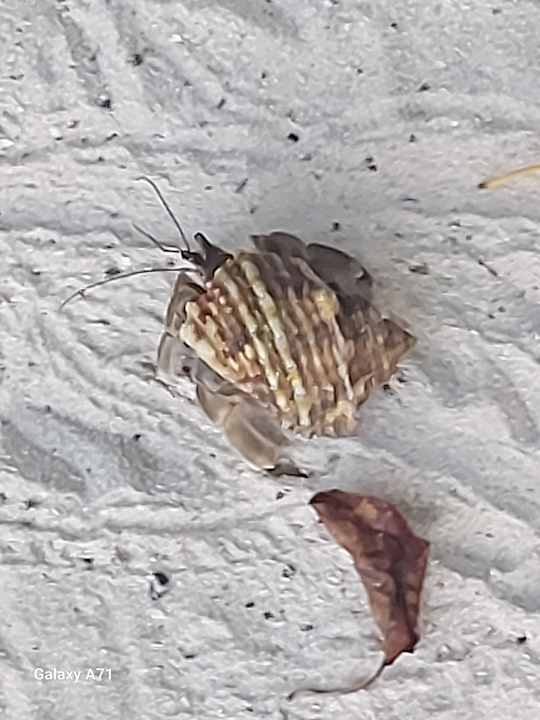 Sonstiges Dreamland The Unique Sea & Lake Resort / Spa