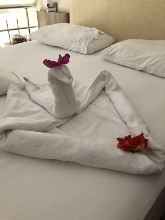 Zimmer Calimera Hane Garden