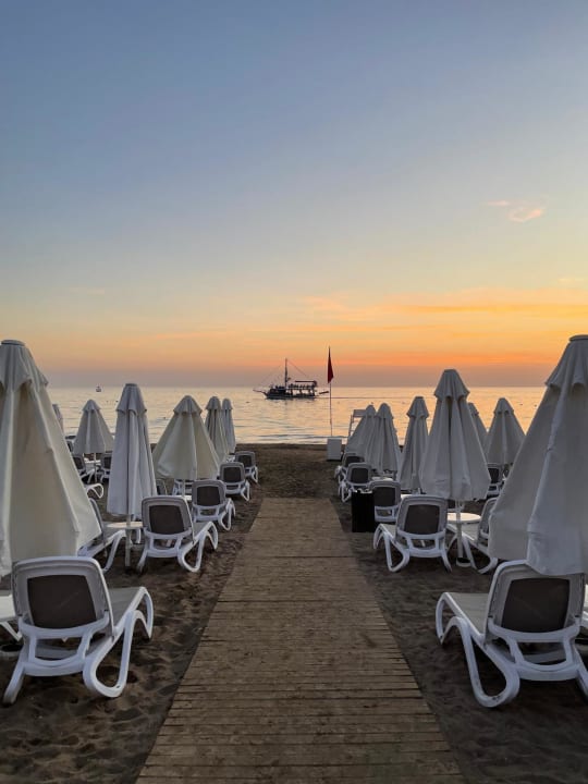 Strand Side Star Elegance