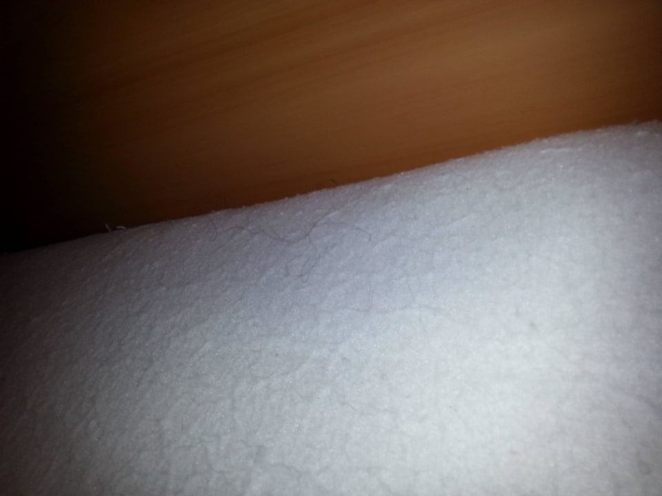 Harre im Bett DAS Club Hotel Sunny Beach