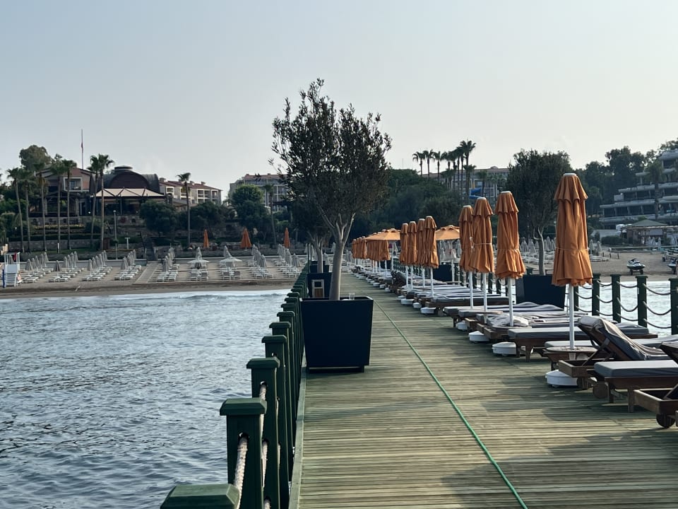 Strand Arum Barut Collection