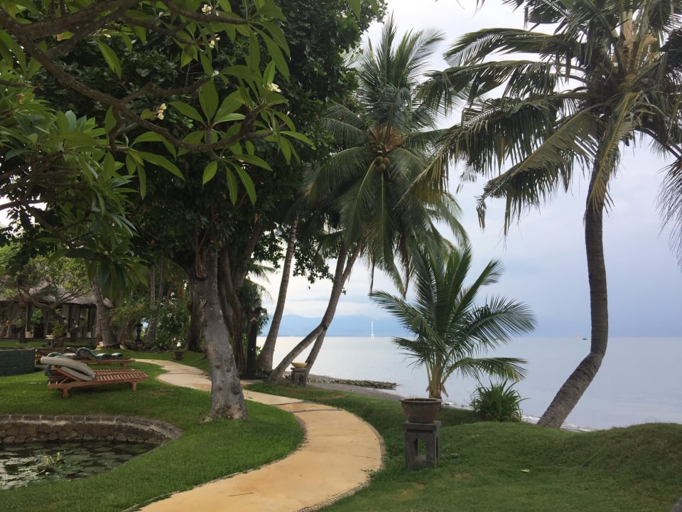 Garten Puri Bagus Lovina