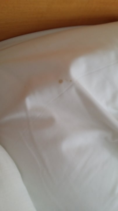 ×frische× Bettwäsche BLUESEA Piscis Adults Only