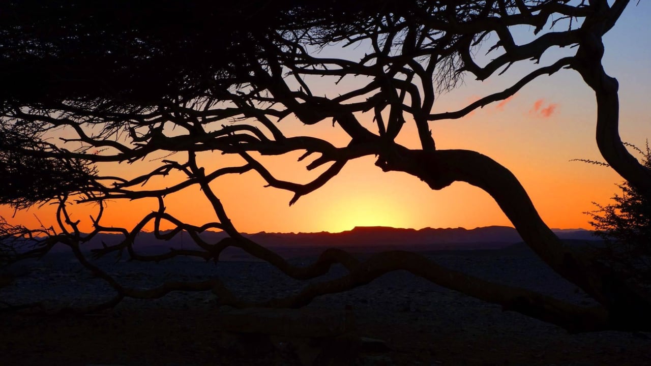 Sonnenuntergang Shams Alam Beach Resort