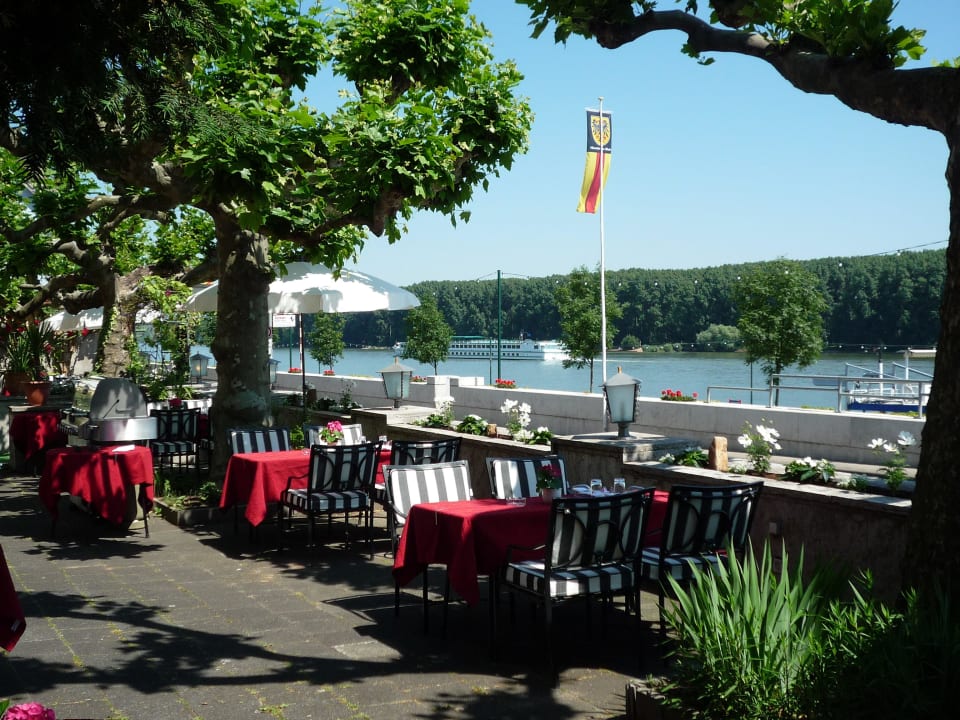 Rhein-Terrasse | Rhine-terrace Rhein-Hotel Nierstein