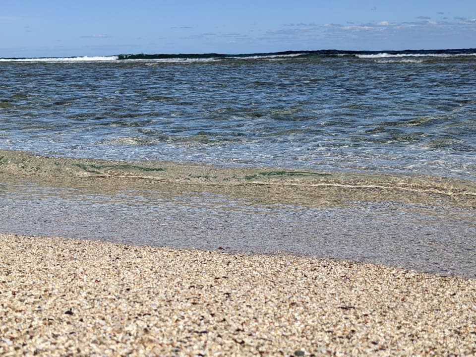 Strand The Oasis Dive Resort