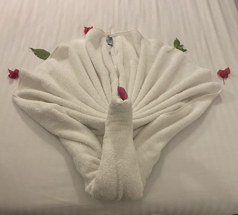 Zimmer Arabella Azur Resort