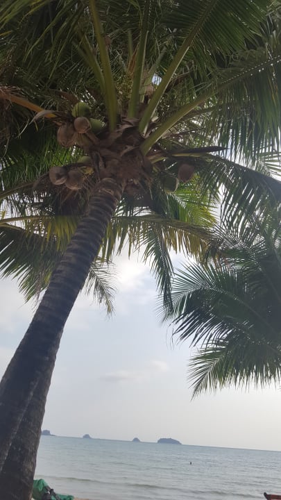 Sonstiges Koh Chang Paradise Resort & Spa