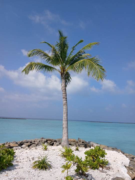 Strand RAAYA By Atmosphere