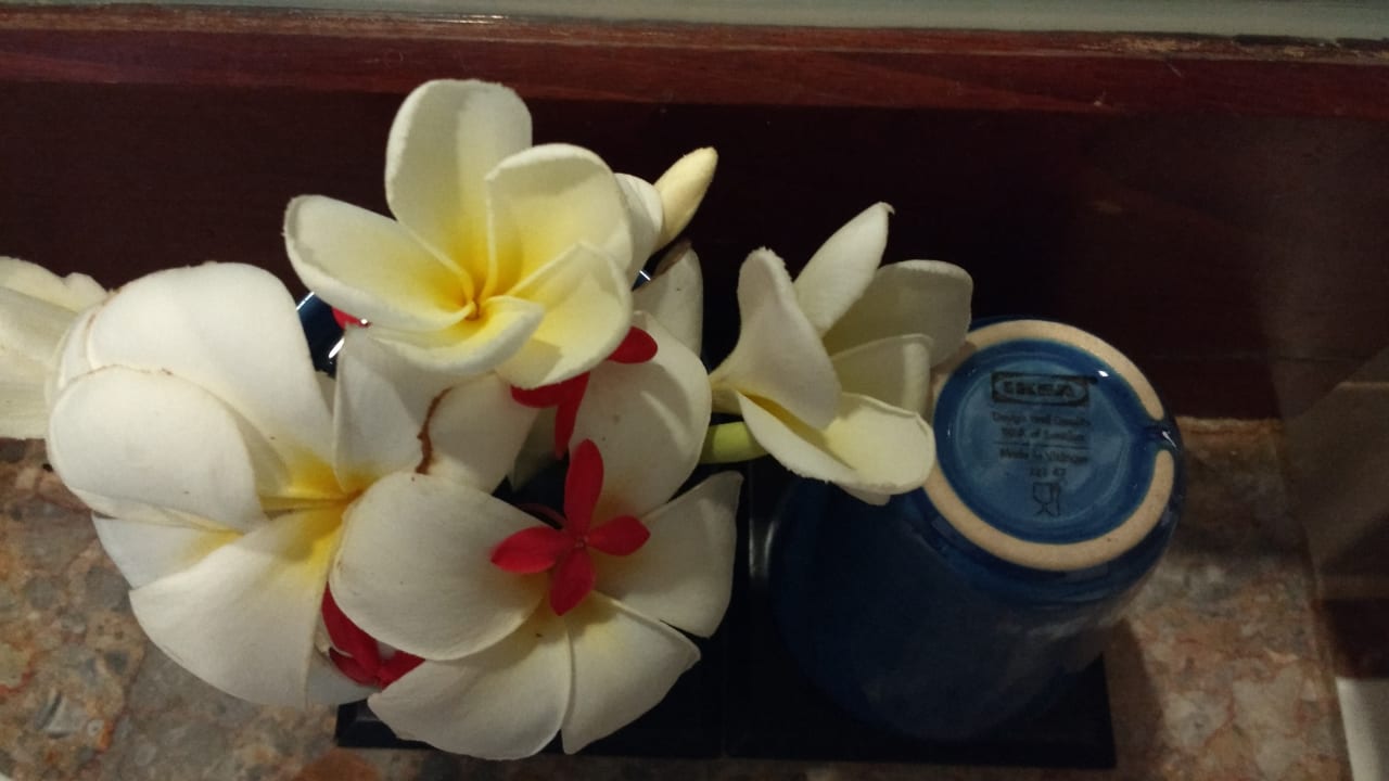 Zimmer Hotel Romana Resort