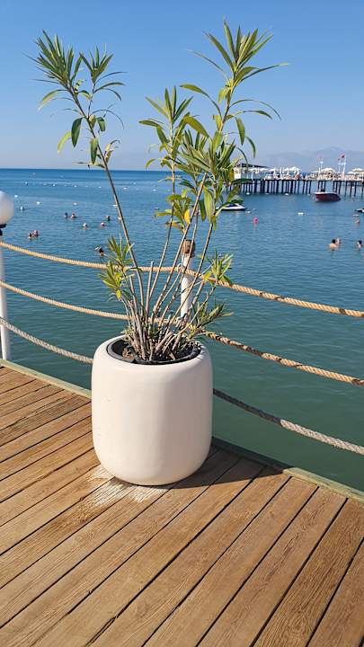 Strand Adalya Elite Lara