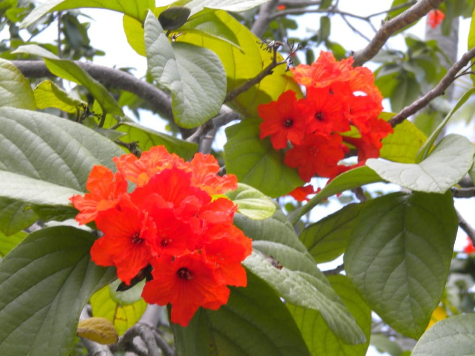 Wunderbare Farben TRS Turquesa Hotel - Adults only