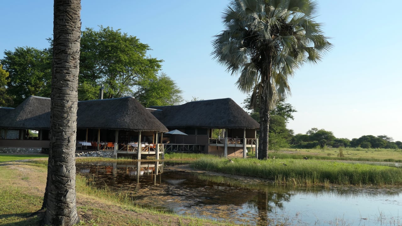 Gastro Onguma Safari Camps