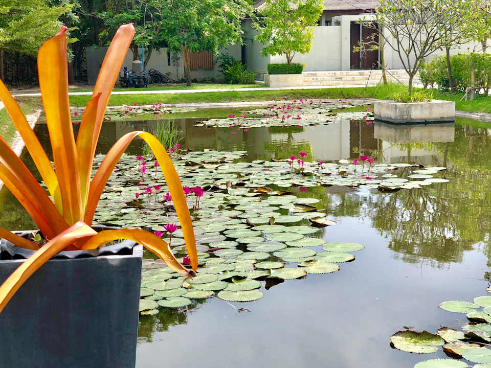 Gartenanlage Hotel AKA Resort Hua Hin