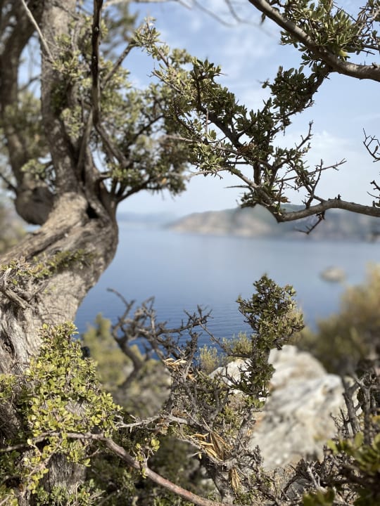 Ausblick Labranda Mares Marmaris