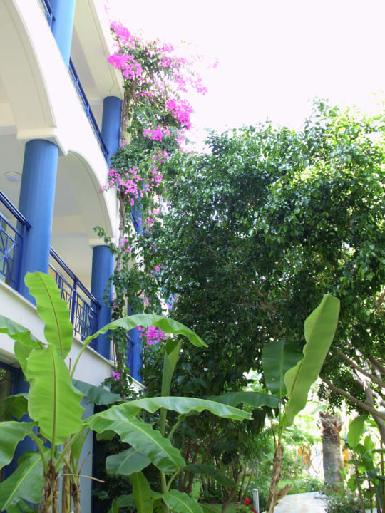 Garten Atrium Palace Thalasso Spa Resort & Villas
