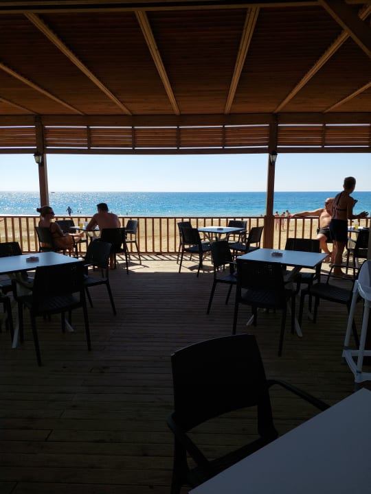 Gastro Seashell Vega