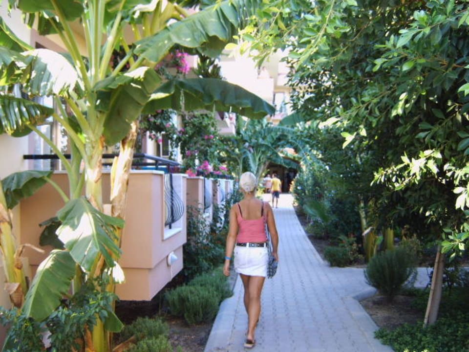Weg Silver Hotel