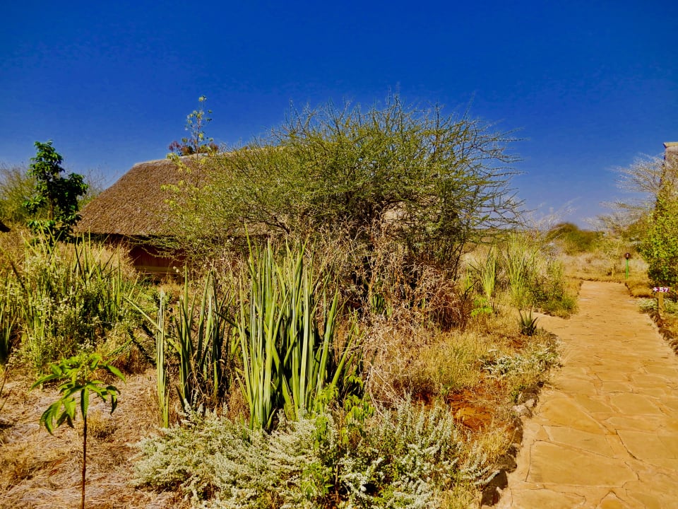 Gartenanlage AA Lodge Amboseli