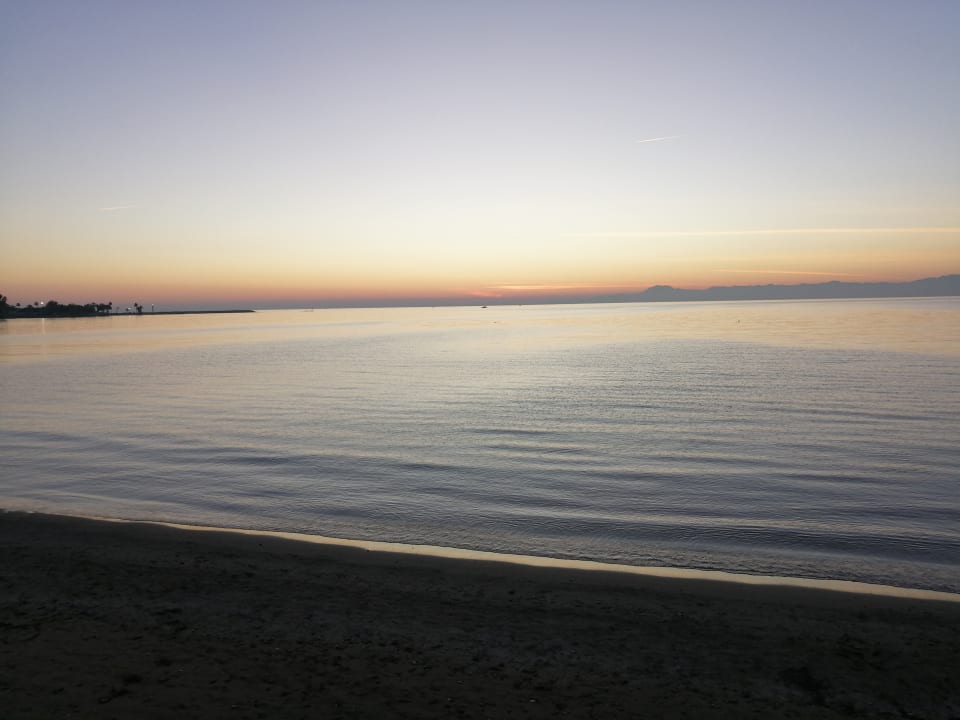 Strand Side Miami Beach