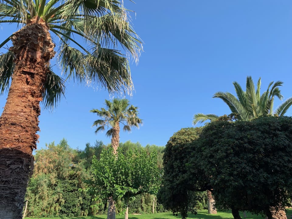 Gartenanlage Phãea Cretan Malia